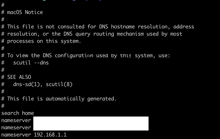 Terminal output of cat /etc/resolv.conf